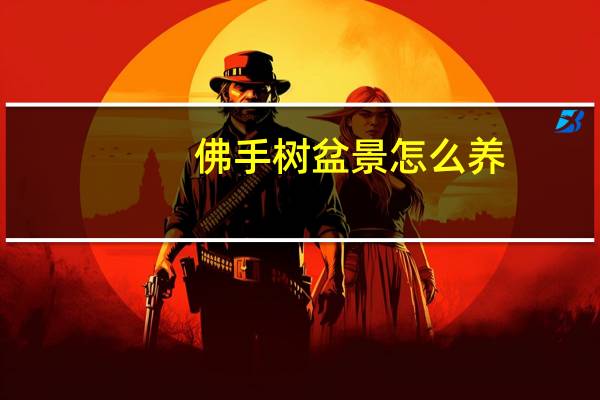 佛手树盆景怎么养