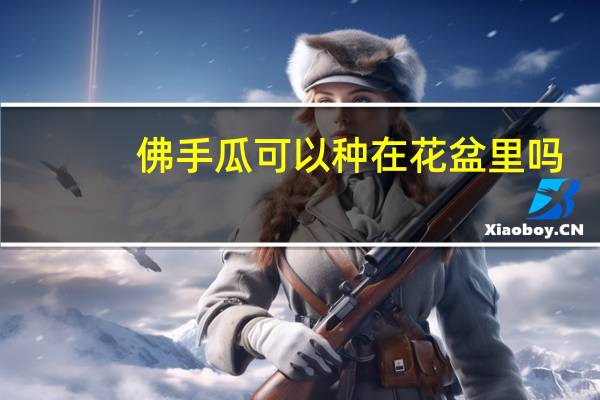 佛手瓜可以种在花盆里吗