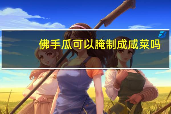 佛手瓜可以腌制成咸菜吗