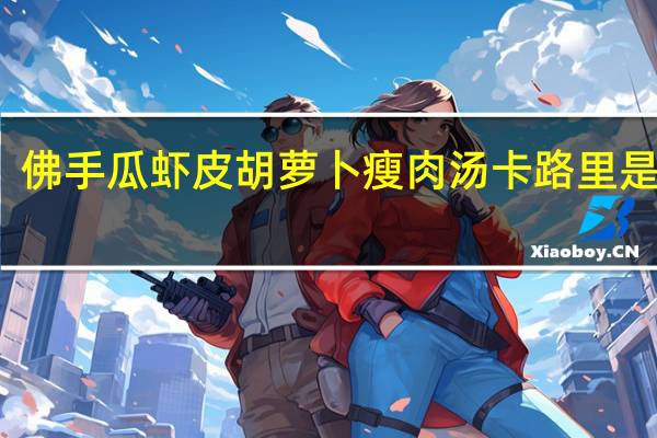 佛手瓜虾皮胡萝卜瘦肉汤卡路里是多少
