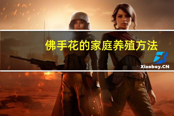 佛手花的家庭养殖方法