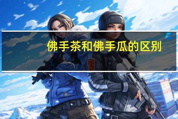 佛手茶和佛手瓜的区别