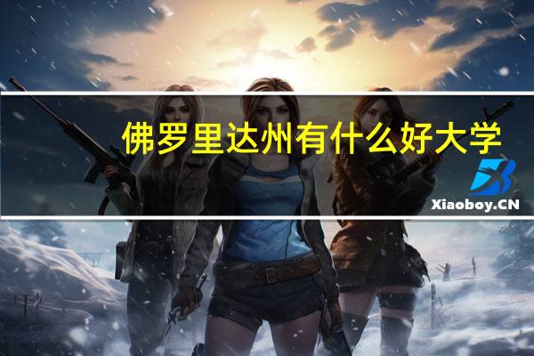 佛罗里达州有什么好大学