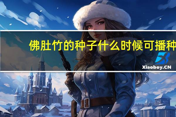 佛肚竹的种子什么时候可播种