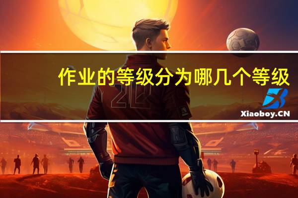 作业的等级分为哪几个等级