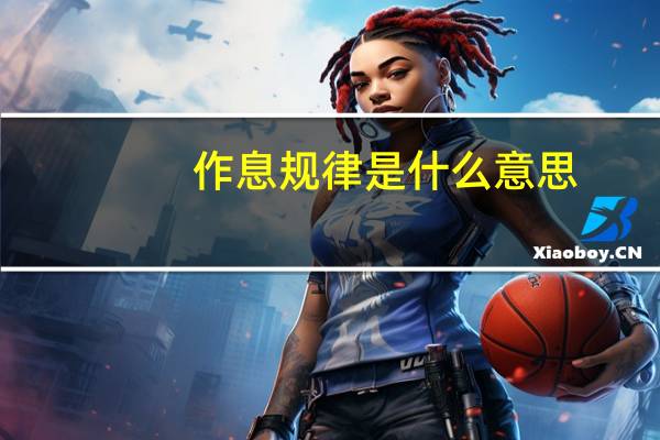 作息规律是什么意思