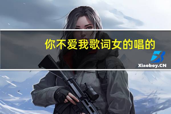 你不爱我歌词女的唱的(你不爱我 歌词)