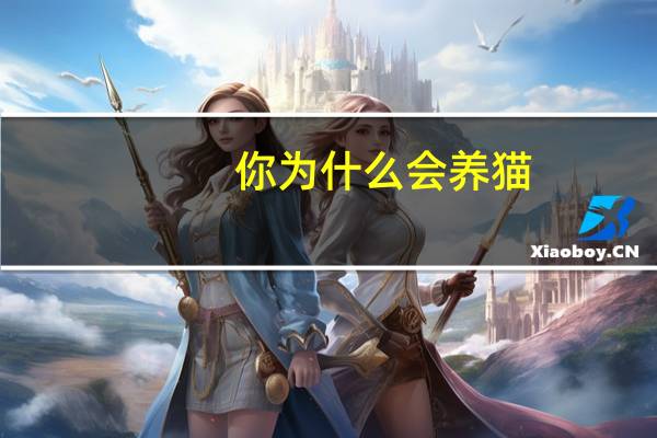 你为什么会养猫