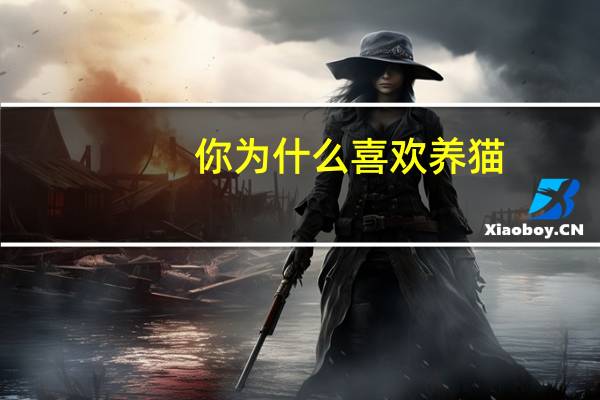 你为什么喜欢养猫