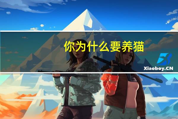 你为什么要养猫