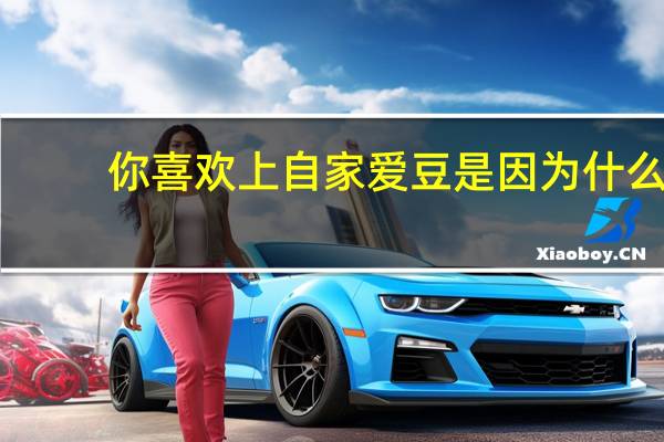 你喜欢上自家爱豆是因为什么