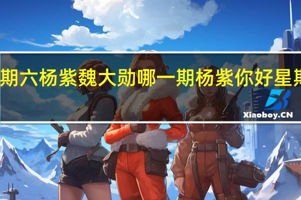 你好星期六杨紫魏大勋哪一期 杨紫你好星期六上班路透