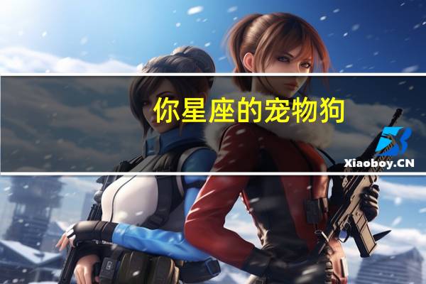 你星座的宠物狗