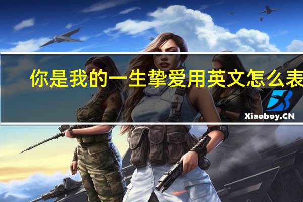 你是我的一生挚爱用英文怎么表达？