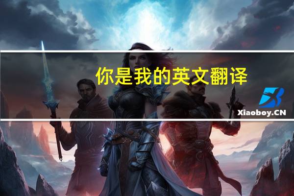 你是我的英文翻译