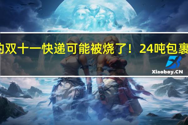 你的双十一快递可能被烧了！24吨包裹灰飞烟灭