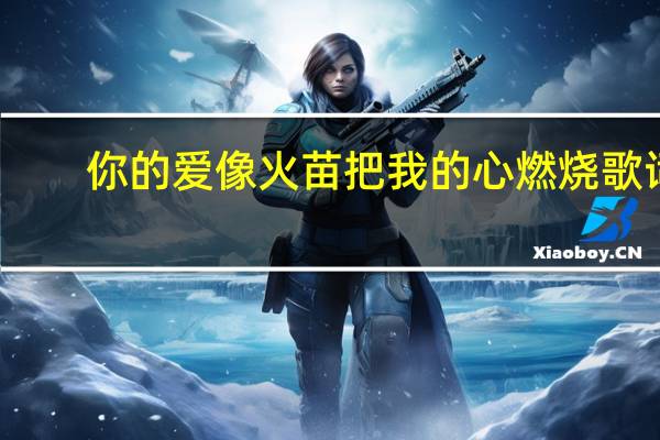 你的爱像火苗把我的心燃烧歌词（你的爱像火苗）