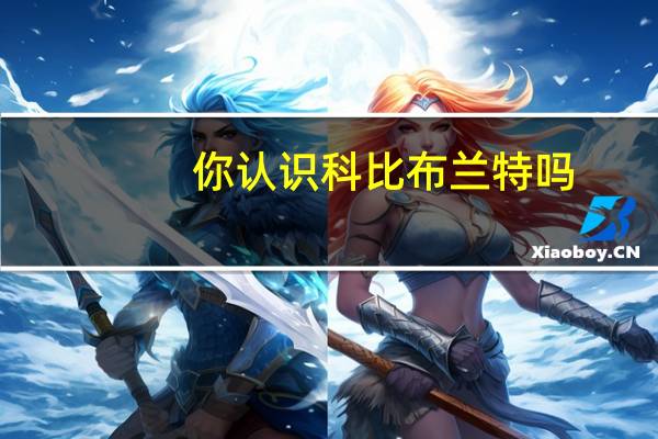 你认识科比布兰特吗（NBA科比布兰特2简介）