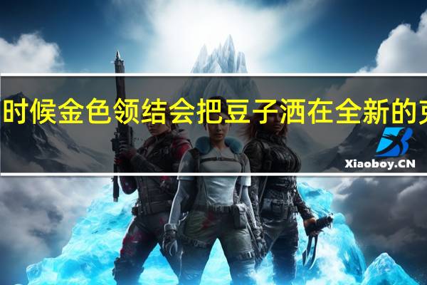 你问什么时候金色领结会把豆子洒在全新的克尔维特Z06上