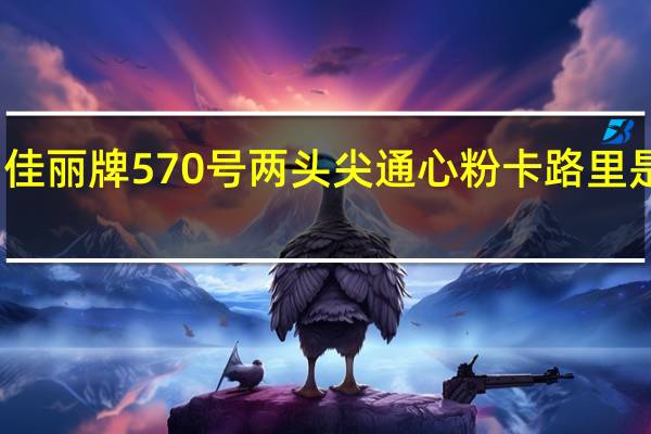 佳丽牌 570号两头尖通心粉卡路里是多少