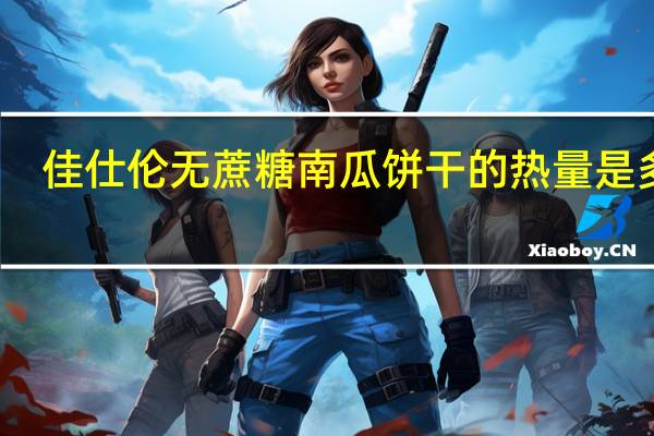 佳仕伦 无蔗糖南瓜饼干的热量是多少