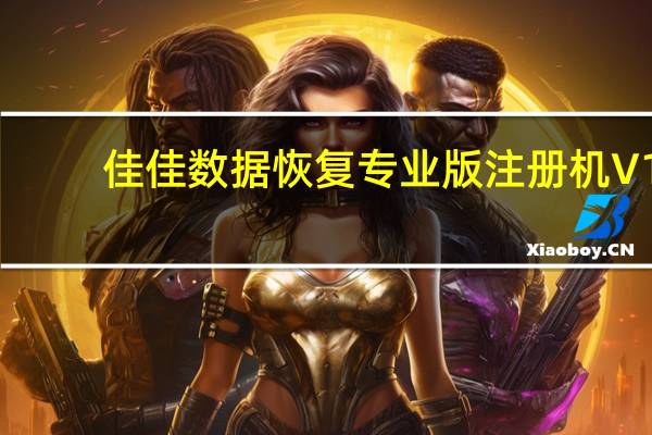 佳佳数据恢复专业版注册机 V1.0 绿色免费版（佳佳数据恢复专业版注册机 V1.0 绿色免费版功能简介）