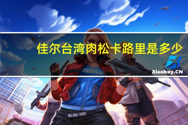 佳尔 台湾肉松卡路里是多少