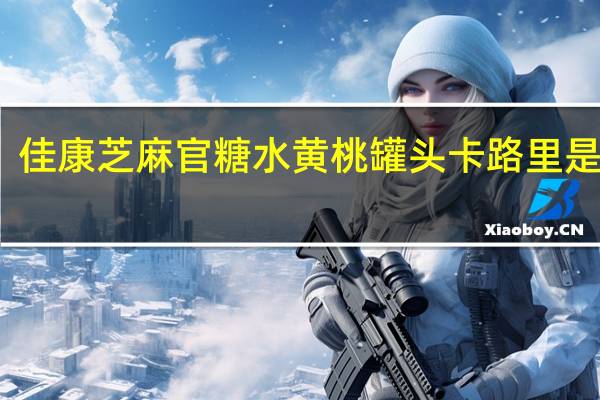 佳康 芝麻官糖水黄桃罐头卡路里是多少