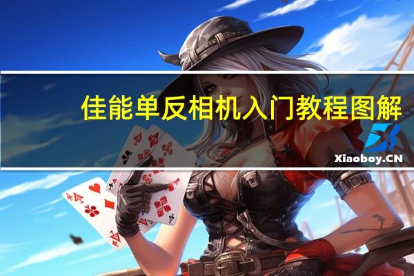 佳能单反相机入门教程图解（佳能单反相机入门教程）