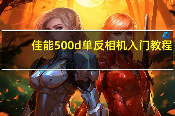 佳能500d单反相机入门教程（佳能500d）