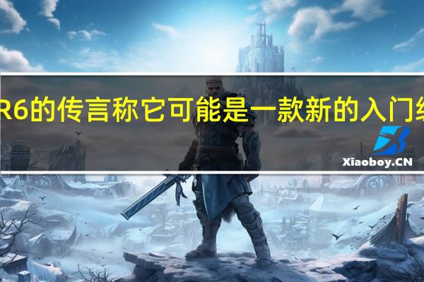 佳能EOS R6的传言称它可能是一款新的入门级无反光镜相机