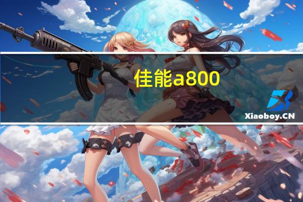 佳能a800（佳能数码相机A800怎么样）