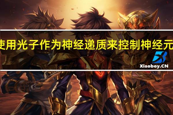 使用光子作为神经递质来控制神经元的活动