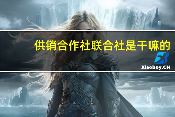 供销合作社联合社是干嘛的（供销合作社联合社）