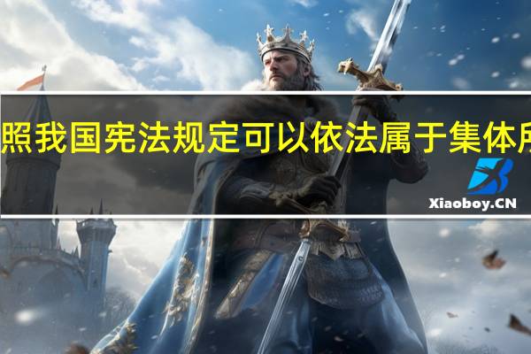 依照我国宪法规定可以依法属于集体所有的是（依照我国 宪法 规定可以依法属于集体所有的有）