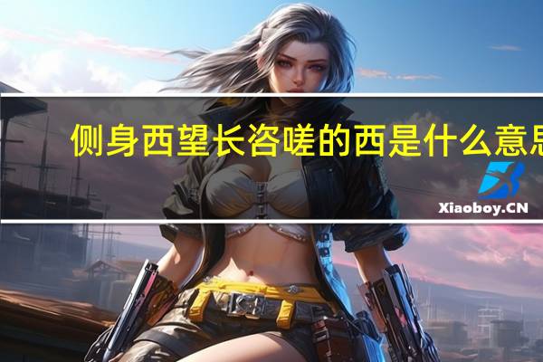 侧身西望长咨嗟的西是什么意思