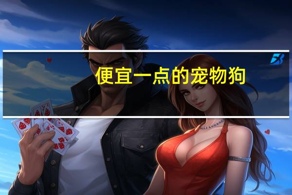 便宜一点的宠物狗