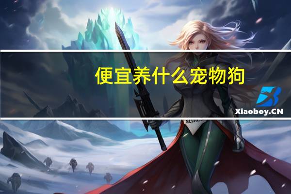 便宜养什么宠物狗