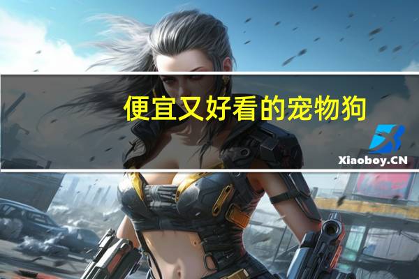 便宜又好看的宠物狗