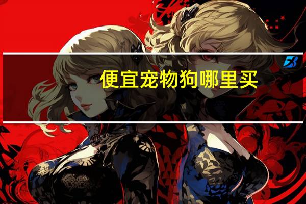 便宜宠物狗哪里买