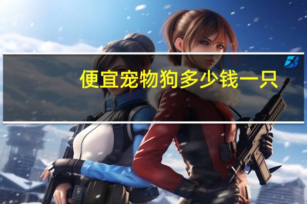 便宜宠物狗多少钱一只