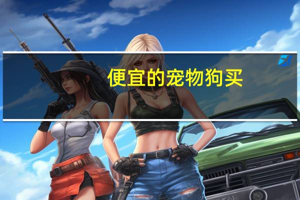 便宜的宠物狗买