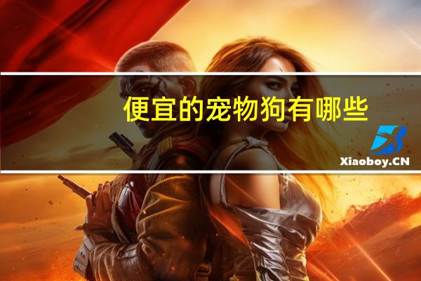 便宜的宠物狗有哪些