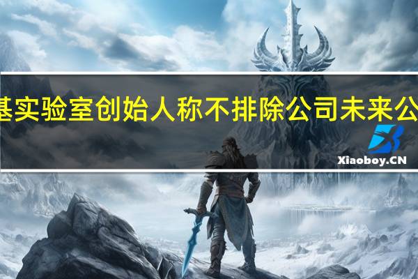 俄卡巴斯基实验室创始人称不排除公司未来公开募股的可能性