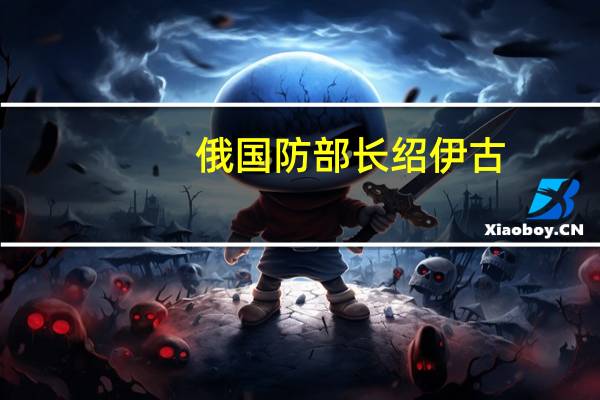 俄国防部长绍伊古：乌克兰的军事资源已经几乎耗尽