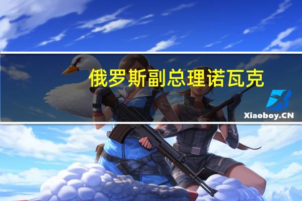 俄罗斯副总理诺瓦克：当前油价反映了风险和中东冲突