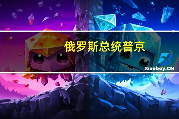 俄罗斯总统普京：关于卢布和外汇销售我们将看看它是如何运作的