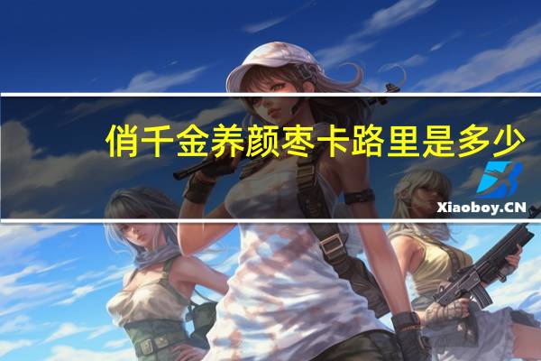 俏千金 养颜枣卡路里是多少