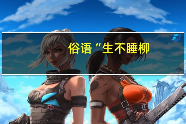 俗语“生不睡柳，死不睡杨”是什么意思