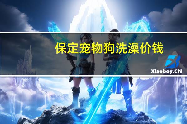 保定宠物狗洗澡价钱